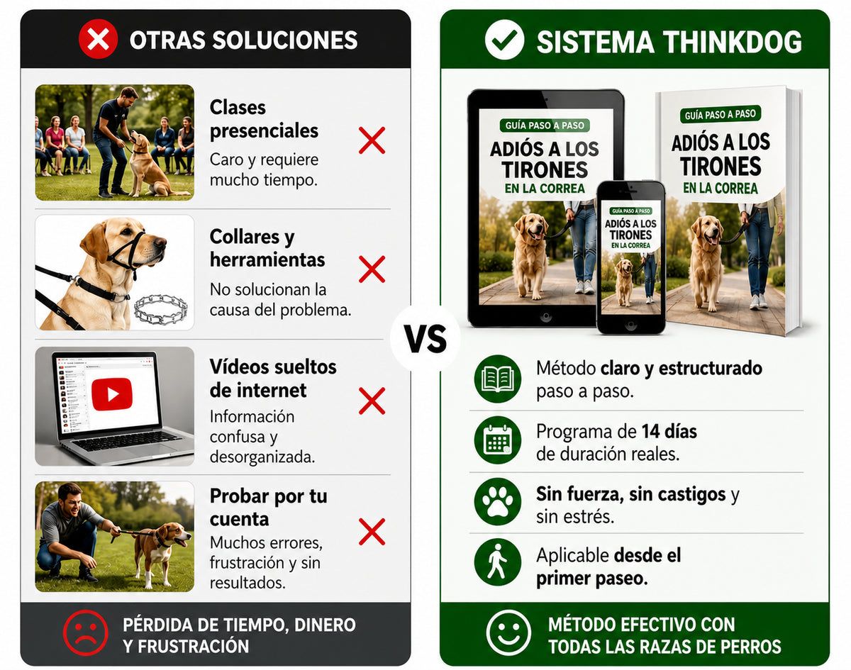 Sistema ThinkDog