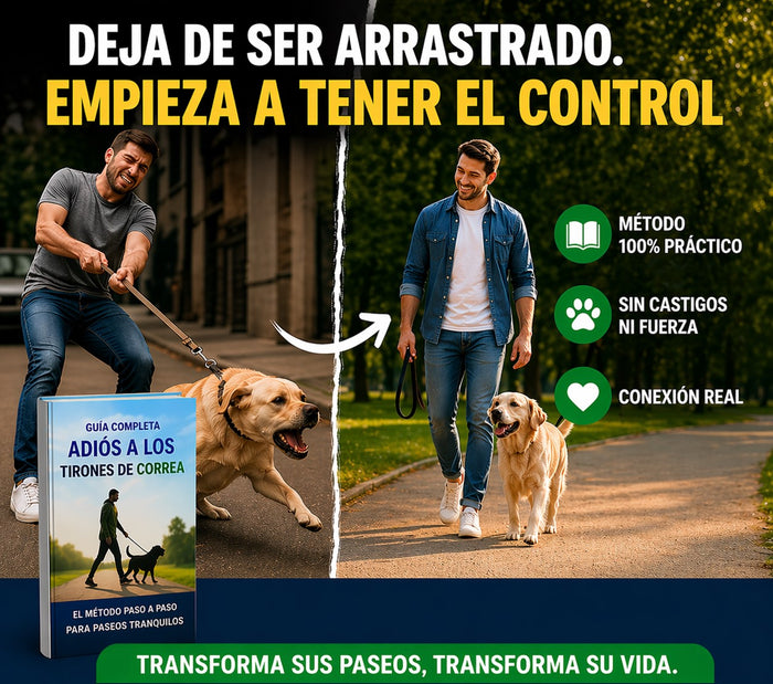 Cómo enseñar a mi perro a no tirar de la correa | Thinkdog